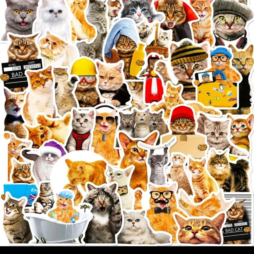 Playful Cat Sticker Collection